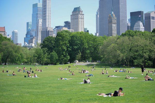 Families enjoy the sun in Central Park in Manhattan, May 18th, 2021